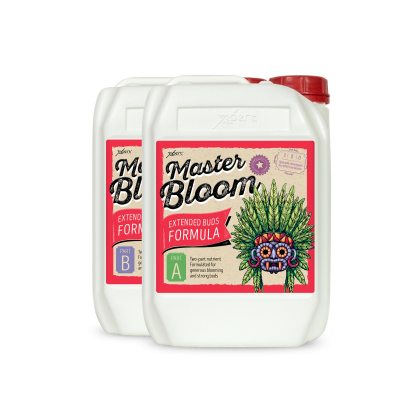 Master Bloom A + B 5L - îngrășământ mineral pentru înflorire