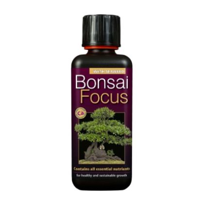 Bonsai Focus 300ml. - Îngrășământ pentru bonsai