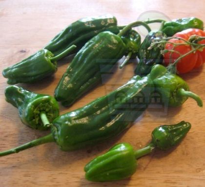 Seminte de ardei iute soiul "Padron" (Pimientos de Padron) 25 buc