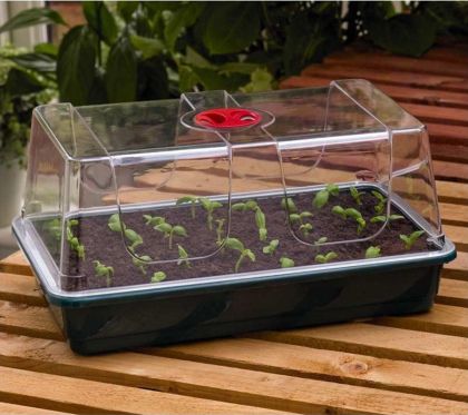 Mini seră Garland 38 x 24cm x 18cm – Mini sere pentru răsaduri și butași