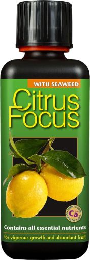 Citrus Focus 300ml. – Îngrășământ specializat pentru plante de citrice