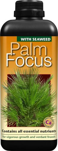 Palm Focus 1L – Balanced fertilizer for palm trees