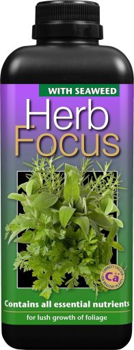 Herb Focus 1l. – Îngrășământ echilibrat pentru plante aromatice și medicinale