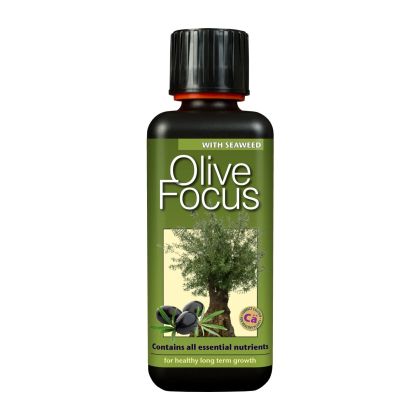 Olive Focus 300ml. - fertilizer for olive trees