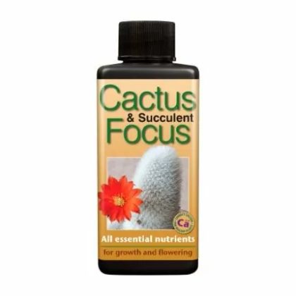 Focus pe cactuși și plante suculente - Îngrășământ pentru cactuși și plante suculente