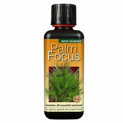 Palm Focus - îngrășământ pentru plante de palmier