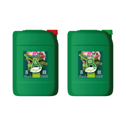 Dutchpro Soil Bloom A+B - îngrășământ pentru înflorire, pentru sol