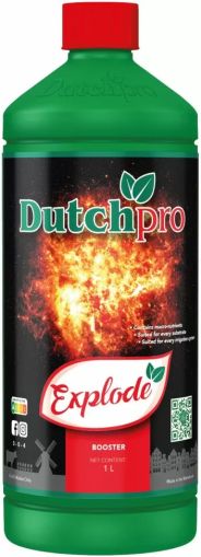 Dutchpro Explode - stimulator de înflorire (pentru randamente maxime)