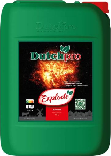 Dutchpro Explode - stimulator de înflorire (pentru randamente maxime)