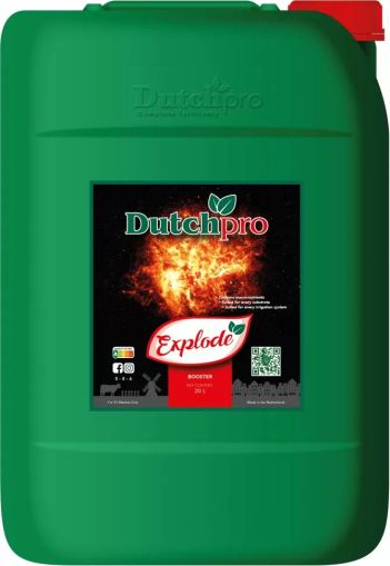 Dutchpro Explode - stimulator de înflorire (pentru randamente maxime)
