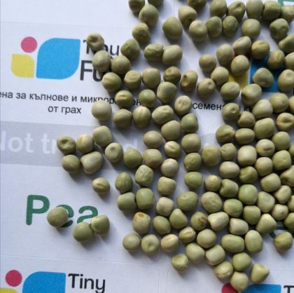 Semințe de mazăre (Cârcei de mazăre) 700 g