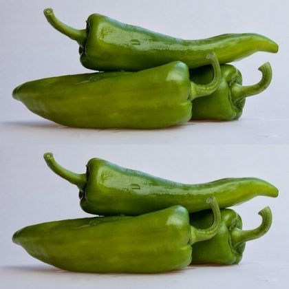 Semințe de ardei iute - Anaheim - 15 bucăți