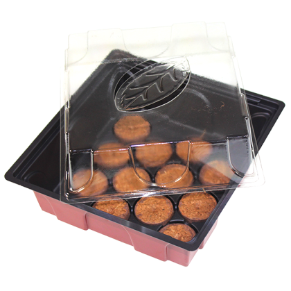 Mini seră Windhager cu 12 discuri de cocos de 19,5x19cm incluse