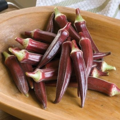 Okra Carmine Splendor F1 - 20 de semințe