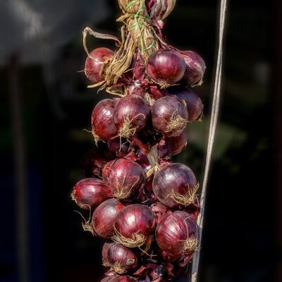 Ceapa Rosa Tonda (Tropea Rossa Tonda) - rosie, dulce - 5 g seminte