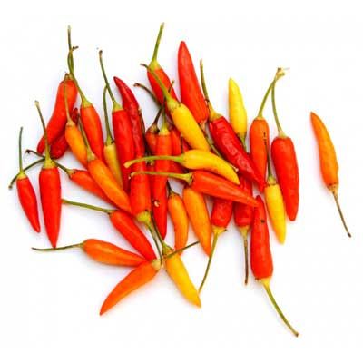 Portocală nepaleză (Nepali Orange) - 15 semințe