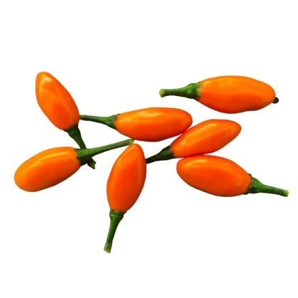 Pimenta La Macarena - 15 de semințe