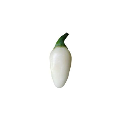 Habanero White Bullet - 15 semințe
