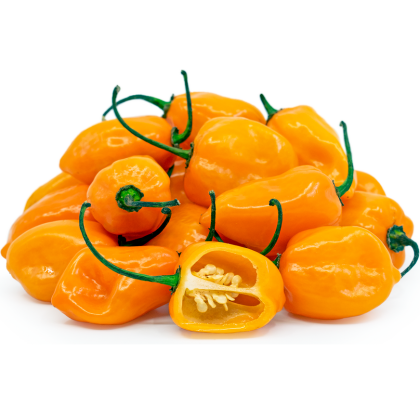 Habanero Orange - 15 semințe