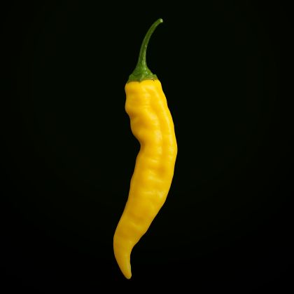Ananas Aji (Aji Pineaple) - 15 semințe
