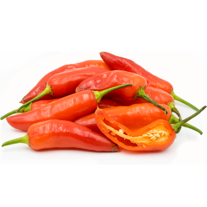 Aji Colorado - 15 semințe