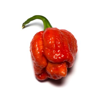 Amestec Trinidad Scorpion Moruga (Trinidad Scorpion Moruga Blend) - 5 semințe