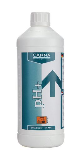 CANNA pH+ 1l. - regulator de aciditate