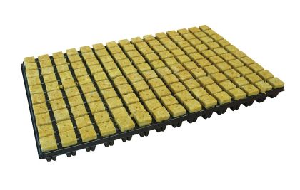 Cultilene rockwool cubes - tray 150pcs.