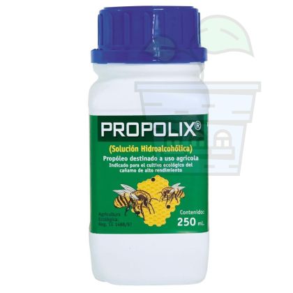 Propolis 1000 ml