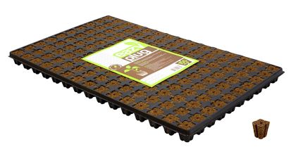 Eazy Plug CT150 tray 150 pcs. - Plugs / blocks for rooting and seedlings