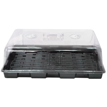 Soft Plastic Propagator