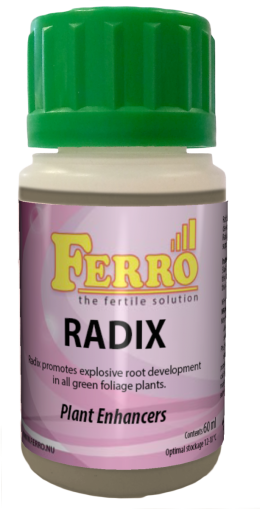 Ferro RADIX 60 ml.