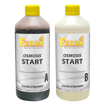 Ferro OSMOSIS START A&B 2x1л.