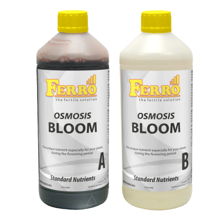 Ferro OSMOSIS BLOOM A&B 2x1L