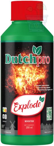Dutchpro Explode 250 ml