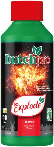 Dutchpro Explode 250 ml