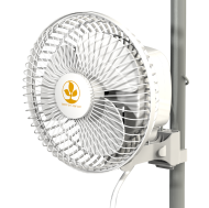 Secret Jardin Monkey Fan 16W