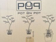 Square Pot 1L 