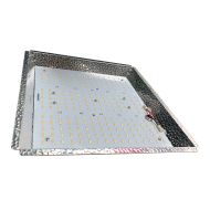 Red Farm Quantum G3 LED 100W (LM281B)