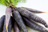 Soi de semințe de morcov „Black Nebula” / „Deep Purple” (Scorzonera hispanica / Black Nebula / Deep Purple F1) 500 buc