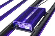 Lumatek LED Zeus 600W PRO 3.1