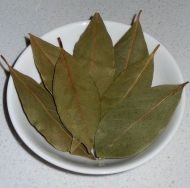 Frunza de dafin (Laurus nobilis) - 5semințe