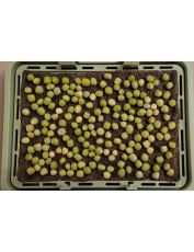 Semințe de mazăre organice - 400 g.
