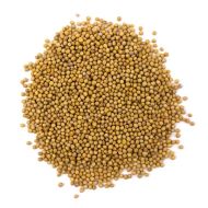 Semințe de microplantă de muștar alb organic - 100 g.