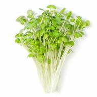 Semințe de microplantă de muștar alb organic - 100 g.