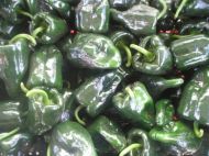 Seminte de ardei iute soiul "Padron" (Pimientos de Padron) 25 buc