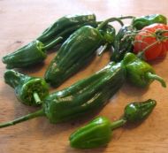 Seminte de ardei iute soiul "Padron" (Pimientos de Padron) 25 buc