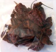 Ardei fantomă (Capsicum chinense - „Bhut Jolokia”) 10 semințe