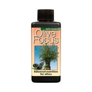 GT Olive Focus 1l