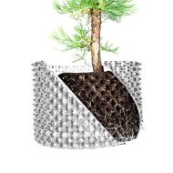 Root Plus Air Pruning Pot 45 L
